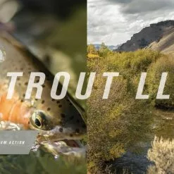 Sage Trout LL Half Welsh 4pc Fly Rod -Hengels Winkel 180bec85 acd1 4c81 8781 f9997de3a0b1