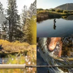 Sage Trout LL 4pc Fly Rod 10 Sage Trout LL 4pc Fly Rod -Hengels Winkel 334f4d05 4d2d 442a 93c0 72f82ab12a54