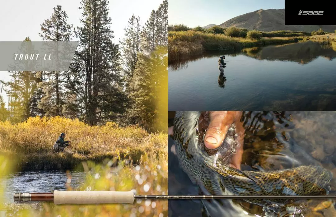 Sage Trout LL 4pc Fly Rod 5 Sage Trout LL 4pc Fly Rod - Afbeelding 5