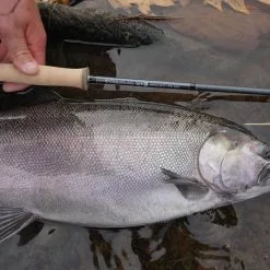 Douglas Sky G Fly Rod -Hengels Winkel Douglas Sky G Fly Rod DOUGLASSKYG XXX 4schermafbeelding 2023 01 11 om 11.54