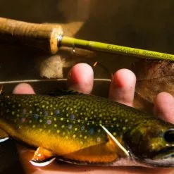 Douglas Upstream Fly Rod 23 Douglas Upstream Fly Rod -Hengels Winkel Douglas Upstream Fly Rod NFD607 XXX 2schermafbeelding 2023 01 11 om 11.50