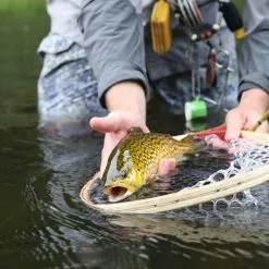 Douglas Upstream Fly Rod 25 Douglas Upstream Fly Rod -Hengels Winkel Douglas Upstream Fly Rod NFD607 XXX schermafbeelding 2023 01 11 om 11.50