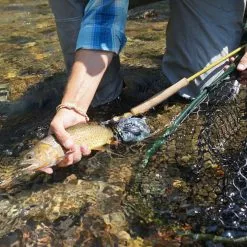 Douglas Upstream Plus Fly Rod -Hengels Winkel Douglas Upstream Plus Fly Rod NFD615 XXX 2schermafbeelding 2023 01 11 om 11.47