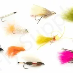 Euro Flies Access Allround Trout & Perch Complete Set #6 - 9ft -Hengels Winkel Euro Flies Access Allround Trout Perch Complete Set 6 9ft EF ACCSET 6 9ft dsc06392