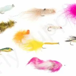 Euro Flies Access Seatrout & Perch Complete Set #7 - 9ft 8 Euro Flies Access Seatrout & Perch Complete Set #7 - 9ft -Hengels Winkel Euro Flies Access Seatrout Perch Complete Set 7 9ft EF ACCSET 7 90ft dsc06382