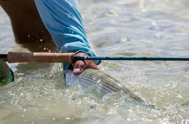 Redington Predator II Fly Rod 5 Redington Predator II Fly Rod - Afbeelding 5