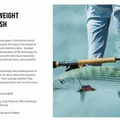 SAGE Salt R8 Fly Rod 46 SAGE Salt R8 Fly Rod -Hengels Winkel SAGE Salt R8 Fly Rod 03 17 XXX 10