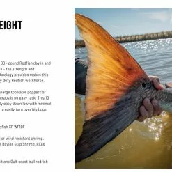 SAGE Salt R8 Fly Rod 43 SAGE Salt R8 Fly Rod -Hengels Winkel SAGE Salt R8 Fly Rod 03 17 XXX 13