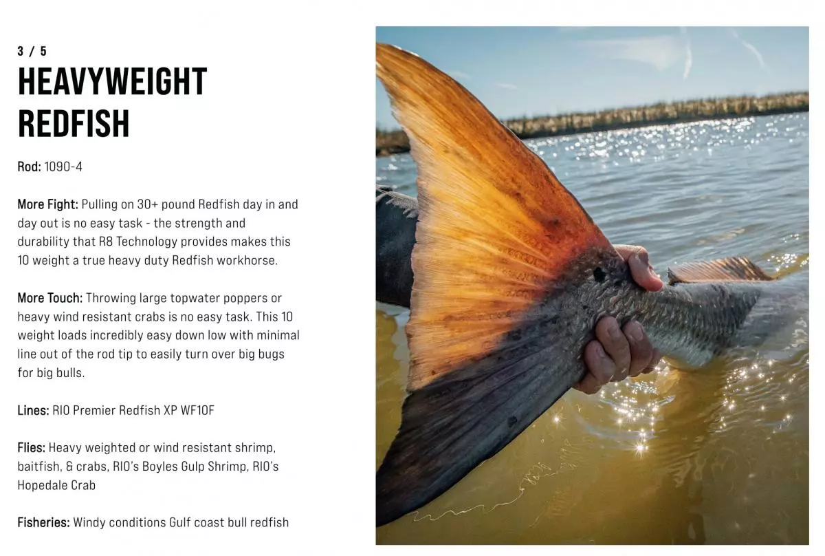 SAGE Salt R8 Fly Rod 16 SAGE Salt R8 Fly Rod - Afbeelding 16