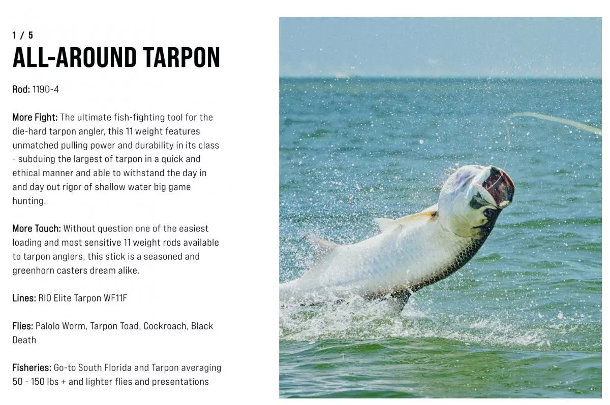 SAGE Salt R8 Fly Rod 13 SAGE Salt R8 Fly Rod - Afbeelding 13