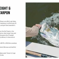 SAGE Salt R8 Fly Rod 39 SAGE Salt R8 Fly Rod -Hengels Winkel SAGE Salt R8 Fly Rod 03 17 XXX 17