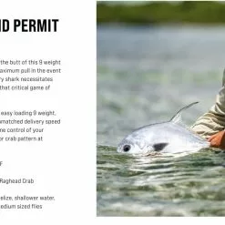 SAGE Salt R8 Fly Rod 48 SAGE Salt R8 Fly Rod -Hengels Winkel SAGE Salt R8 Fly Rod 03 17 XXX 8