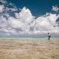 Sage Maverick Fly Rod -Hengels Winkel Sage Maverick Fly Rod 03 54XXXX maverick 2