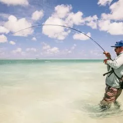 Sage Maverick Fly Rod -Hengels Winkel Sage Maverick Fly Rod 03 54XXXX maverick 3