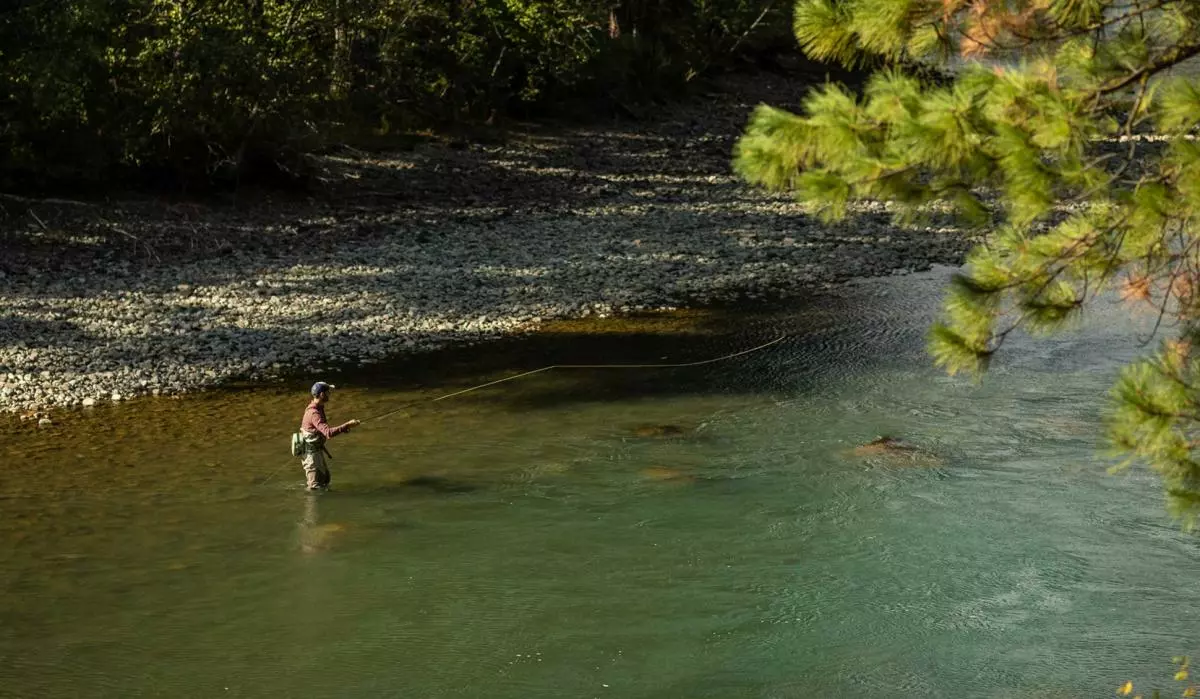 Sage Sonic Fly Rod 8 Sage Sonic Fly Rod - Afbeelding 8