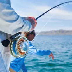 Sage Thermo Champagne Fly Reel -Hengels Winkel Sage Thermo Champagne Fly Reel 22 6800 XX sage pdp reels ending image desktop thermo 1920x 1