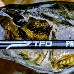 TFO Pro III Fly Rod -Hengels Winkel TFO Pro III Fly Rod TFXXXX4P3 tfo prof iii ma10l