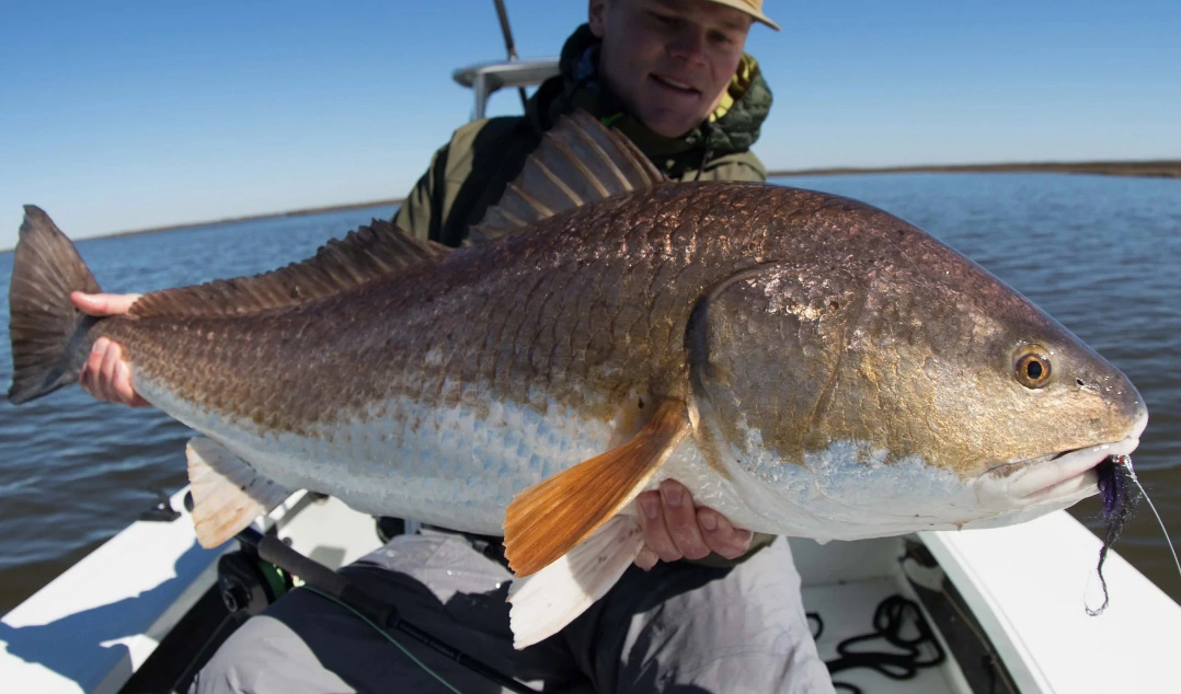 Thomas & Thomas Exocett SS Fly Rod 3 Thomas & Thomas Exocett SS Fly Rod - Afbeelding 3