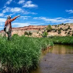 Thomas & Thomas Lotic Fly Rod -Hengels Winkel Thomas Thomas Lotic Fly Rod LOTIC XXX schermafbeelding 2022 10 19 om 17.07