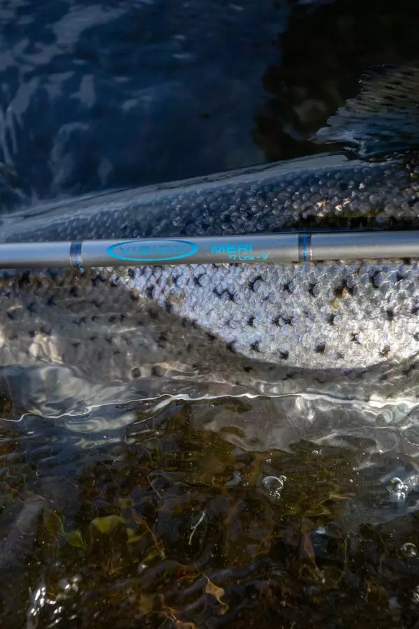 Vision Meri 4pc Fly Rod 5 Vision Meri 4pc Fly Rod - Afbeelding 5