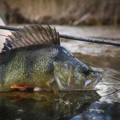 Vision XO Predator Reel -Hengels Winkel Vision XO Predator Reel VPR XXX at2a4769