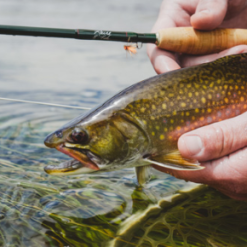 Winston Air 2 Fly Rod -Hengels Winkel Winston Air2 Fly Rod AIR2ROD XXX naamloo1s