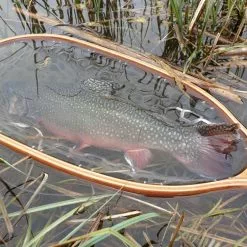 Winston PURE Fly Rod 15 Winston PURE Fly Rod -Hengels Winkel daniel20april20201920medium