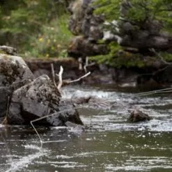 Sage Dart 3pc Fly Rod -Hengels Winkel dart6