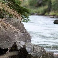 Sage Dart 3pc Fly Rod -Hengels Winkel dart7