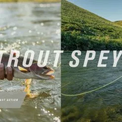 Sage Trout Spey HD 4pc Fly Rod 16 Sage Trout Spey HD 4pc Fly Rod -Hengels Winkel f8c139a8 8909 4d39 a70b 3bdaaaa64fef