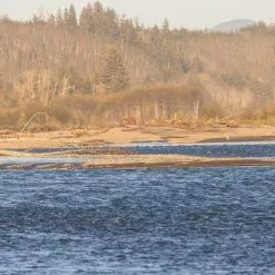 Sage Pulse Switch & Spey 4pc Fly Rod -Hengels Winkel pulsespey3